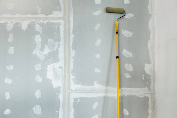 Best Drywall Sanding and Smoothing  in Anderson, CA